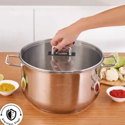 Karaca Grace Stainless Steel Induction Stockpot with Lid, 30cm, Silver